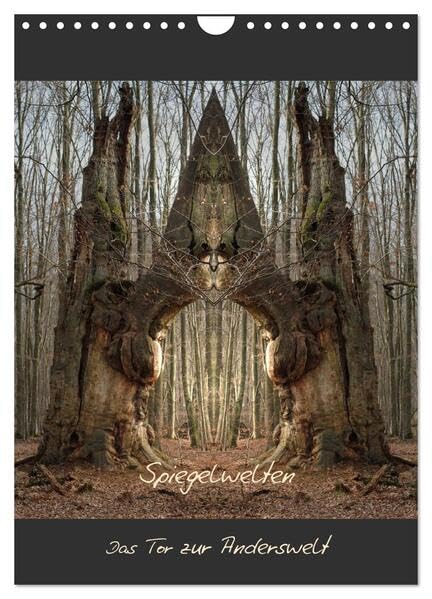 Spiegelwelten - Das Tor zur Anderswelt (Wandkalender 2026 DIN A4 hoch), CALVENDO Monatskalender: Einblick in die multidimensionale Welt der Natur (CALVENDO Kunst) Film, Art & Culture