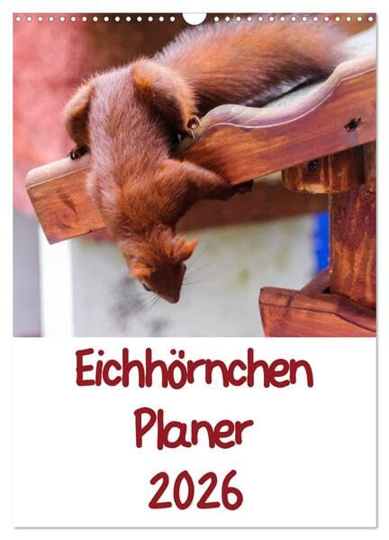 Eichhörnchen Planer 2026 (Wandkalender 2026 DIN A3 hoch), CALVENDO Monatskalender: Eichhörnchenbilder mit Planer-Kalendarium (CALVENDO Tiere) Natural Sciences