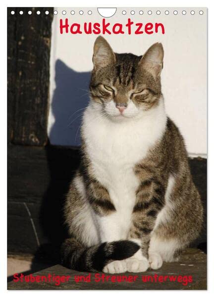 Hauskatzen (Wandkalender 2026 DIN A4 hoch), CALVENDO Monatskalender: Stubentiger und Streuner unterwegs (CALVENDO Tiere) Natural Sciences