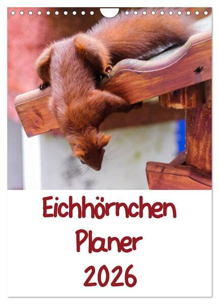 Eichhörnchen Planer 2026 (Wandkalender 2026 DIN A4 hoch), CALVENDO Monatskalender: Eichhörnchenbilder mit Planer-Kalendarium (CALVENDO Tiere) Natural Sciences