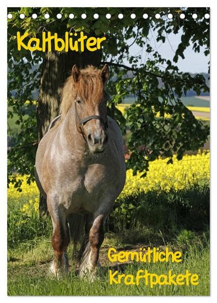 Kaltblüter (Tischkalender 2026 DIN A5 hoch), CALVENDO Monatskalender: Gemütliche Kraftpakete (CALVENDO Tiere) Natural Sciences