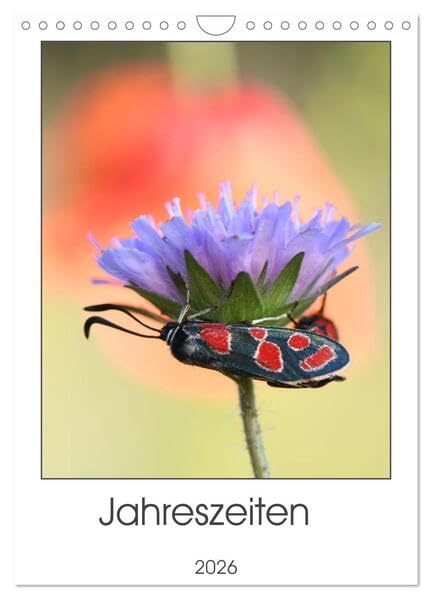 Jahreszeiten (Wandkalender 2026 DIN A4 hoch), CALVENDO Monatskalender: Die Natur eines Jahres im Wandel (CALVENDO Natur) Film, Art & Culture