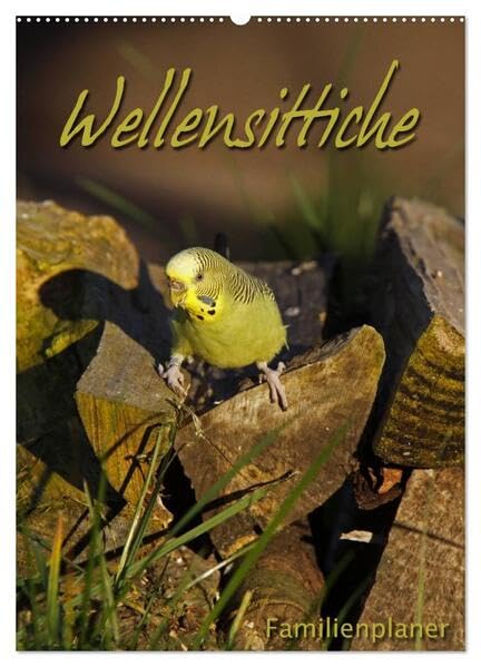 Wellensittiche (Wandkalender 2026 DIN A2 hoch), CALVENDO Monatskalender: Familienplaner (CALVENDO Tiere) Natural Sciences