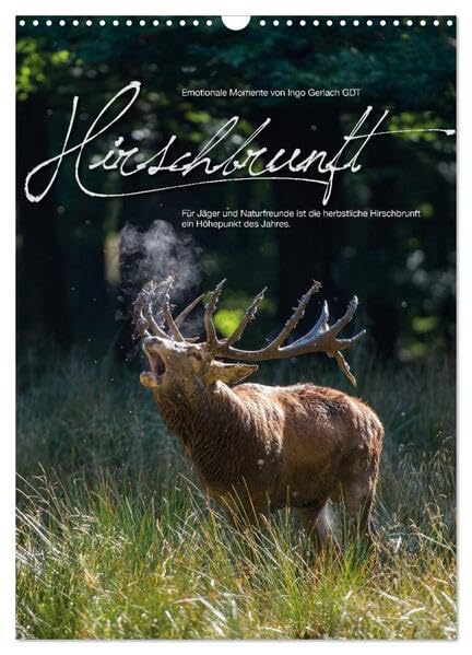 Emotionale Momente: Hirschbrunft (Wandkalender 2026 DIN A3 hoch), CALVENDO Monatskalender: Der König der Wälder in dramatischen und wunderschönen Bildern. (CALVENDO Tiere) Natural Sciences