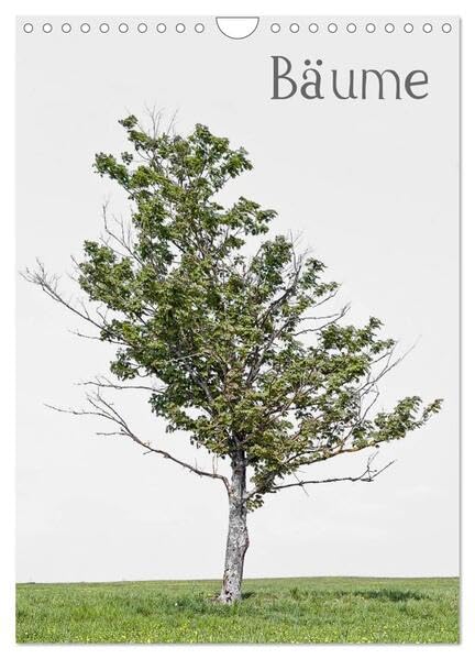 Bäume (Wandkalender 2026 DIN A4 hoch), CALVENDO Monatskalender: Bäume sind Gedichte, die die Erde in den Himmel schreibt (CALVENDO Natur) Photography