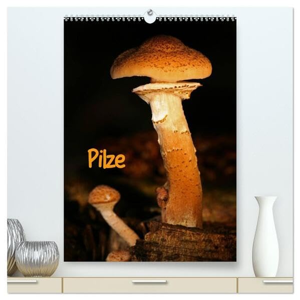 Pilze (hochwertiger Premium Wandkalender 2026 DIN A2 hoch), Kunstdruck in Hochglanz: Herbstliche Bewohner unserer Wälder (CALVENDO Natur) Leisure, Home & Garden