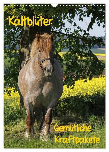 Kaltblüter (Wandkalender 2026 DIN A3 hoch), CALVENDO Monatskalender: Gemütliche Kraftpakete (CALVENDO Tiere) Natural Sciences