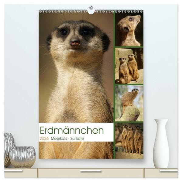 Erdmännchen-Meerkats-Surikate (hochwertiger Premium Wandkalender 2026 DIN A2 hoch), Kunstdruck in Hochglanz: Edrmännchen sind einfach putzige Kerlchen. (CALVENDO Tiere) Natural Sciences