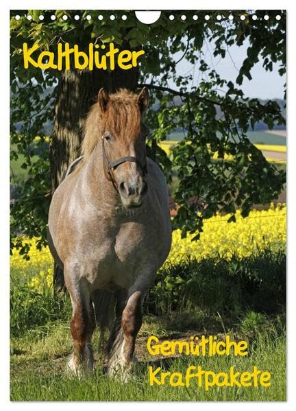 Kaltblüter (Wandkalender 2026 DIN A4 hoch), CALVENDO Monatskalender: Gemütliche Kraftpakete (CALVENDO Tiere) Natural Sciences
