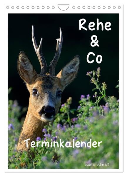 Rehe & Co / Planer (Wandkalender 2026 DIN A4 hoch), CALVENDO Monatskalender: Wildlife Rügen / Deutschland (CALVENDO Tiere) Natural Sciences