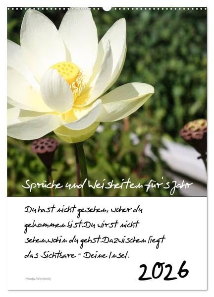 Sprüche und Weisheiten für´ s Jahr (Wandkalender 2026 DIN A2 hoch), CALVENDO Monatskalender: Blumen und Sprüche (CALVENDO Natur) Leisure, Home & Garden