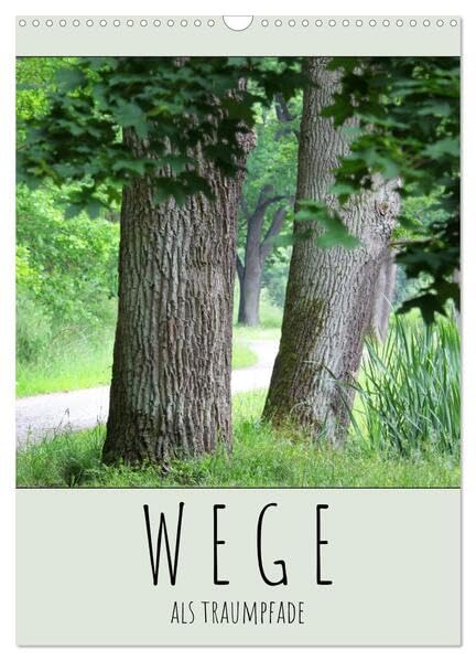 Wege als Traumpfade (Wandkalender 2026 DIN A3 hoch), CALVENDO Monatskalender: Der Weg ist das Ziel - hier Wege, die Freude bereiten. (CALVENDO Natur) Film, Art & Culture