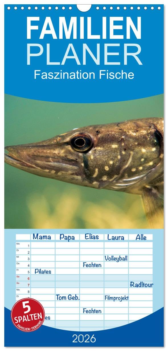 Familienplaner 2026 - Faszination Fische mit 5 Spalten (Wandkalender, 21 cm x 45 cm), CALVENDO Photography