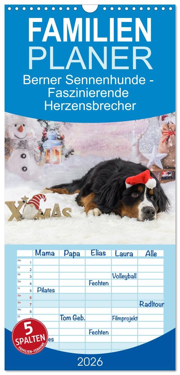 Familienplaner 2026 - Berner Sennenhunde - Faszinierende Herzensbrecher mit 5 Spalten (Wandkalender, 21 cm x 45 cm), CALVENDO Natural Sciences