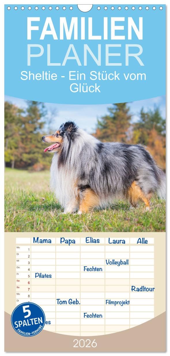 Familienplaner 2026 - Sheltie - Ein Stück vom Glück mit 5 Spalten (Wandkalender, 21 cm x 45 cm), CALVENDO Natural Sciences