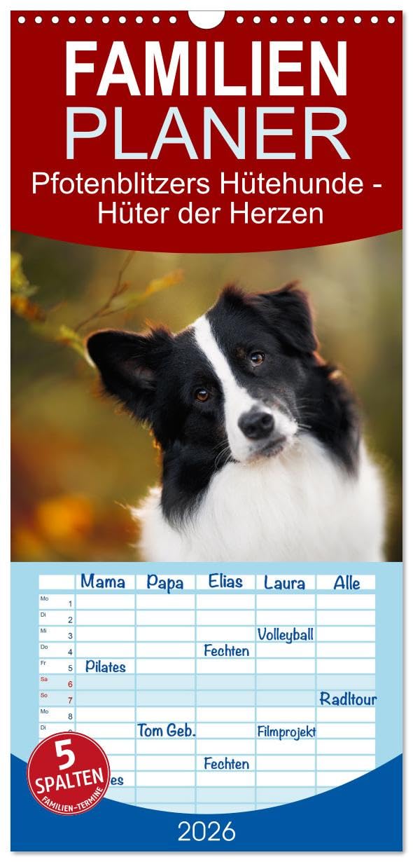 Familienplaner 2026 - Pfotenblitzers Hütehunde - Hüter der Herzen mit 5 Spalten (Wandkalender, 21 cm x 45 cm), CALVENDO Natural Sciences