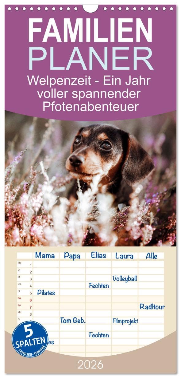 Familienplaner 2026 - Welpenzeit - Ein Jahr voller spannender Pfotenabenteuer mit 5 Spalten (Wandkalender, 21 cm x 45 cm), CALVENDO Natural Sciences