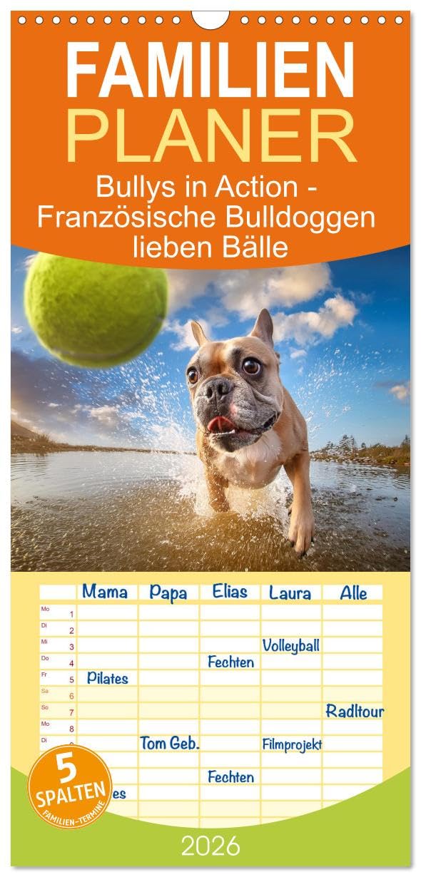 Familienplaner 2026 - Bullys in Action - Französische Bulldoggen lieben Bälle mit 5 Spalten (Wandkalender, 21 cm x 45 cm), CALVENDO Living & Furnishing