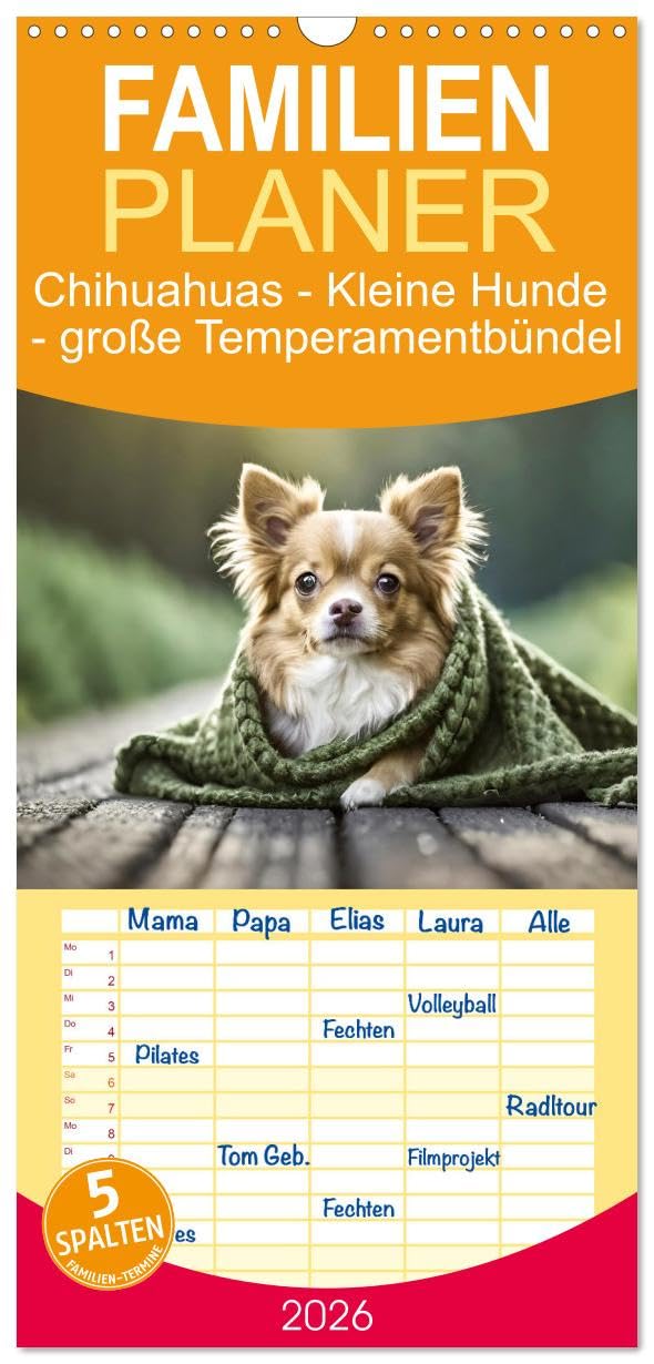 Familienplaner 2026 - Chihuahuas - Kleine Hunde - große Temperamentbündel mit 5 Spalten (Wandkalender, 21 cm x 45 cm), CALVENDO Living & Furnishing