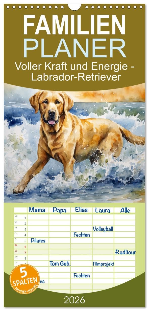 Familienplaner 2026 - Voller Kraft und Energie - Labrador-Retriever mit 5 Spalten (Wandkalender, 21 cm x 45 cm), CALVENDO Natural Sciences
