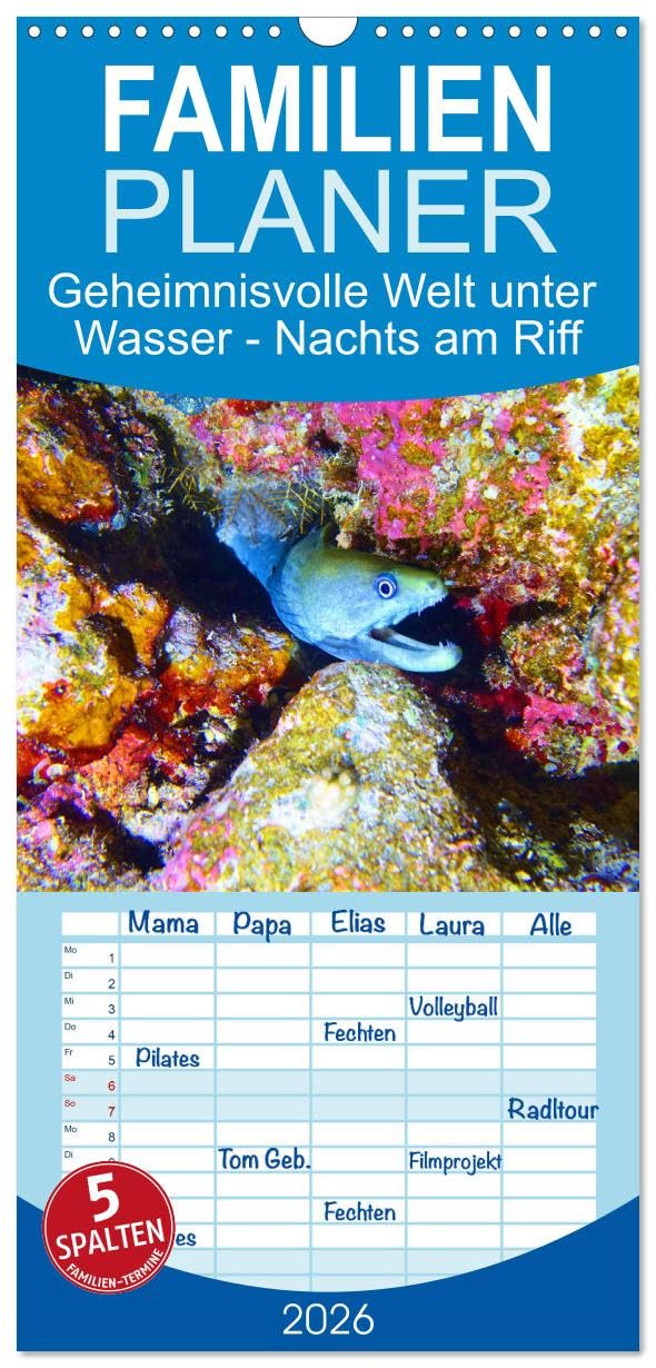 Familienplaner 2026 - Geheimnisvolle Welt unter Wasser - Nachts am Riff mit 5 Spalten (Wandkalender, 21 cm x 45 cm), CALVENDO Natural Sciences