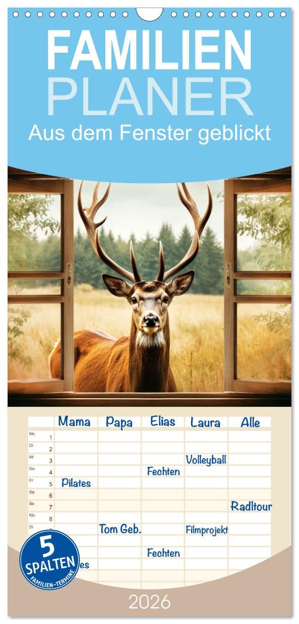 Familienplaner 2026 - Aus dem Fenster geblickt mit 5 Spalten (Wandkalender, 21 cm x 45 cm), CALVENDO Film, Art & Culture