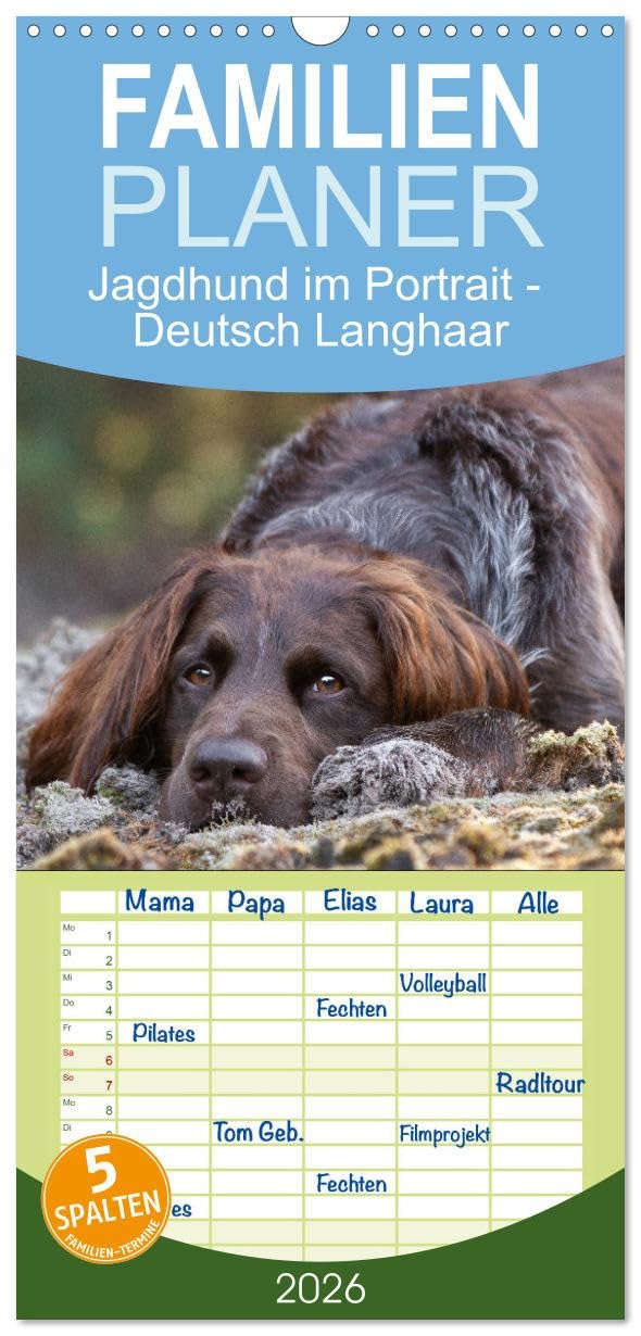 Familienplaner 2026 - Jagdhund im Portrait - Deutsch Langhaar mit 5 Spalten (Wandkalender, 21 cm x 45 cm), CALVENDO Natural Sciences