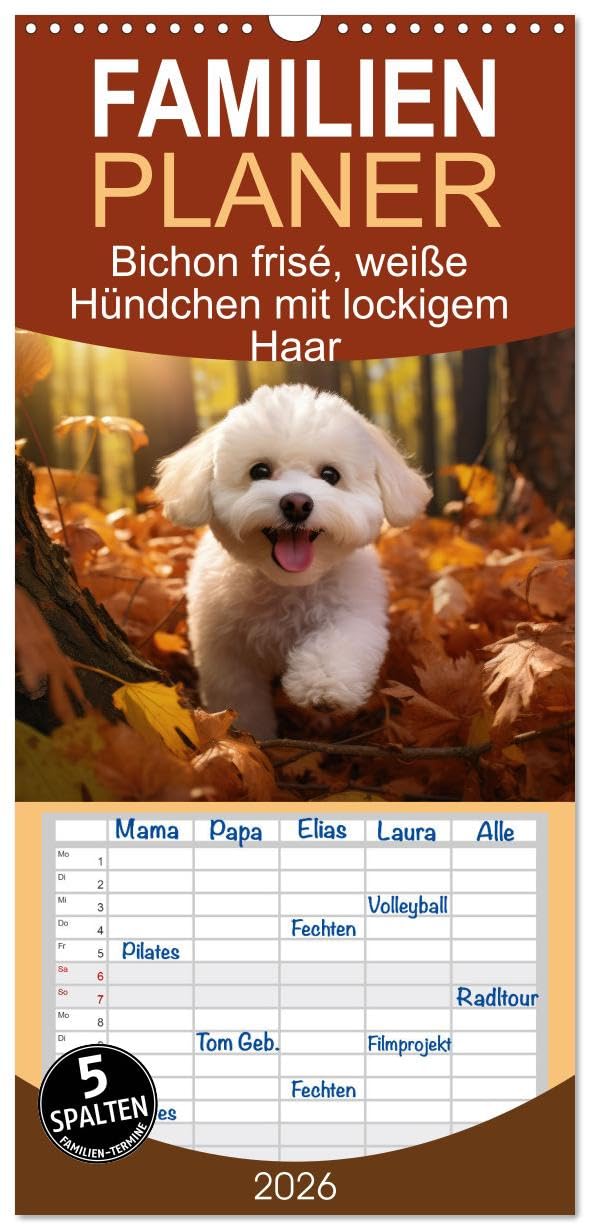Familienplaner 2026 - Bichon frisé, weiße Hündchen mit lockigem Haar mit 5 Spalten (Wandkalender, 21 cm x 45 cm), CALVENDO Social Sciences