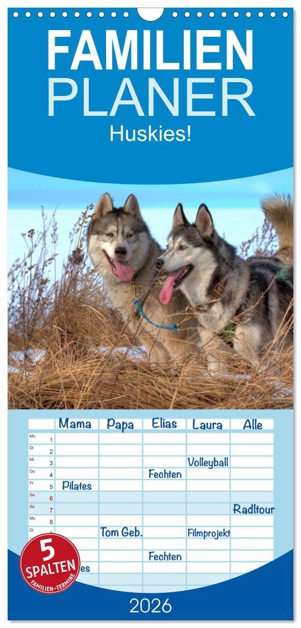 Familienplaner 2026 - Huskies! mit 5 Spalten (Wandkalender, 21 cm x 45 cm), CALVENDO Natural Sciences