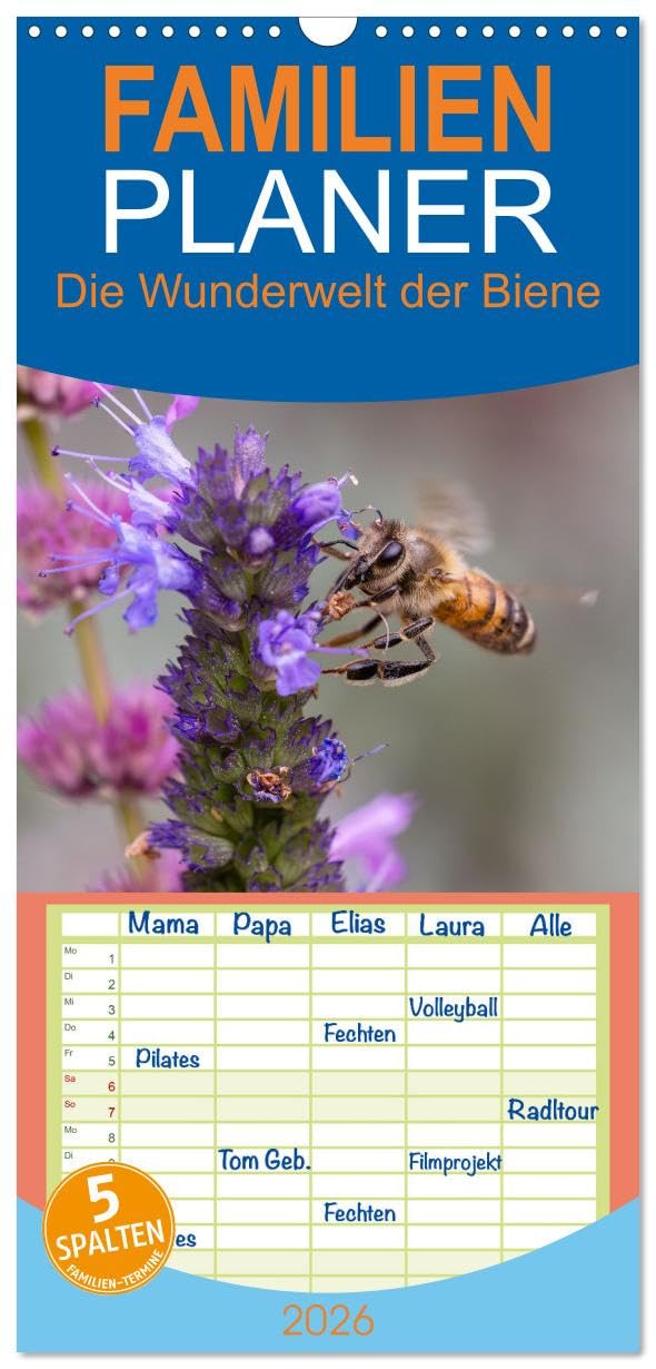 Familienplaner 2026 - Die Wunderwelt der Biene mit 5 Spalten (Wandkalender, 21 cm x 45 cm), CALVENDO Natural Sciences