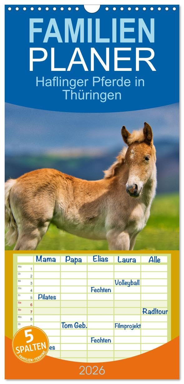 Familienplaner 2026 - Haflinger Pferde in Thüringen mit 5 Spalten (Wandkalender, 21 cm x 45 cm), CALVENDO Natural Sciences