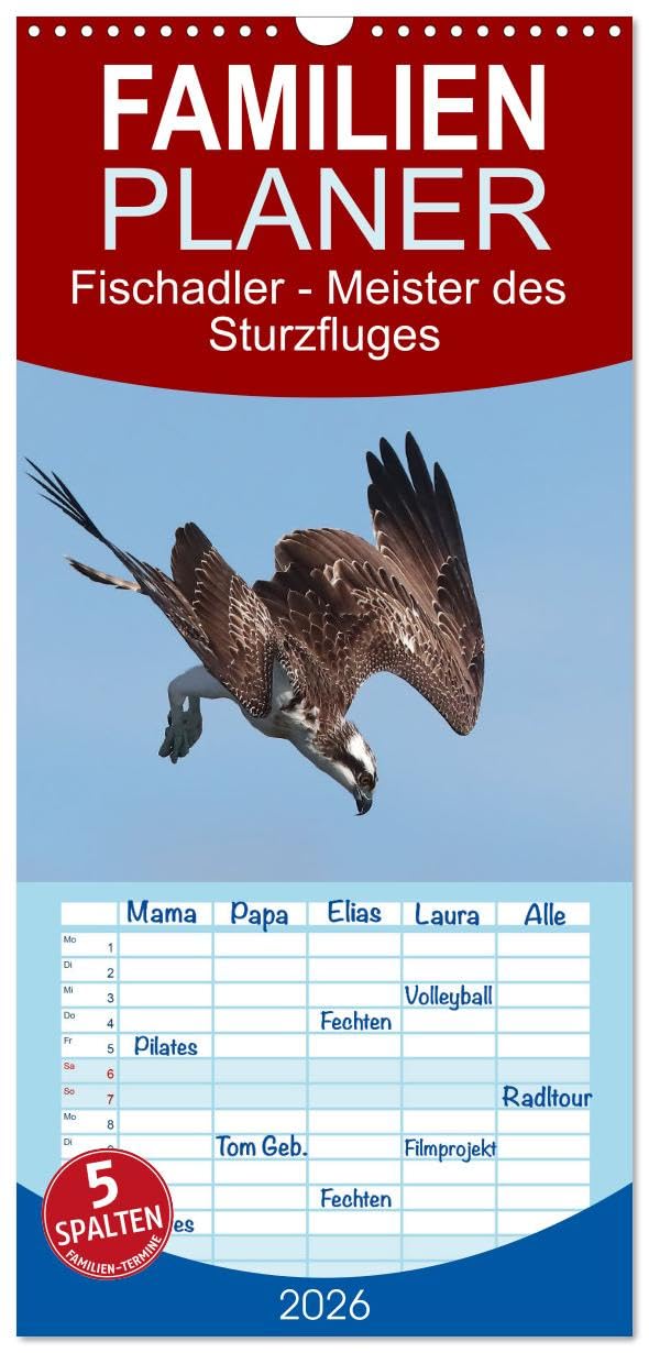 Familienplaner 2026 - Fischadler - Meister des Sturzfluges mit 5 Spalten (Wandkalender, 21 cm x 45 cm), CALVENDO Natural Sciences