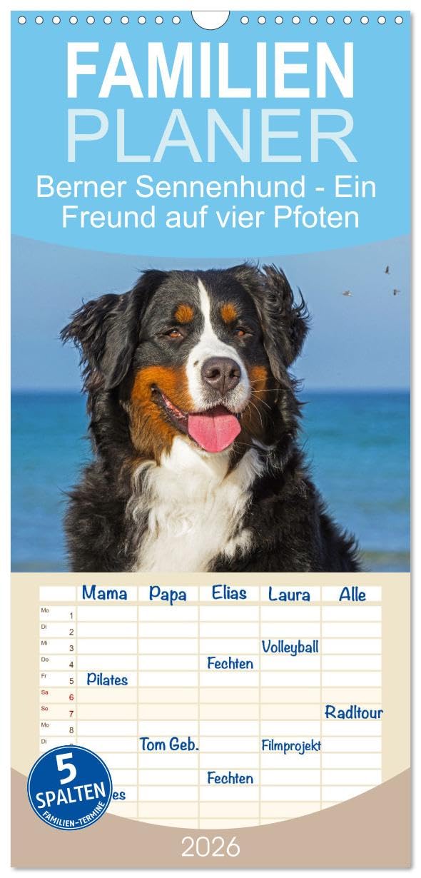Familienplaner 2026 - Berner Sennenhund - Ein Freund auf vier Pfoten mit 5 Spalten (Wandkalender, 21 cm x 45 cm), CALVENDO Natural Sciences
