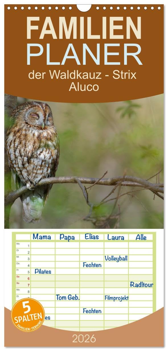 Familienplaner 2026 - der Waldkauz - Strix Aluco mit 5 Spalten (Wandkalender, 21 cm x 45 cm), CALVENDO Natural Sciences