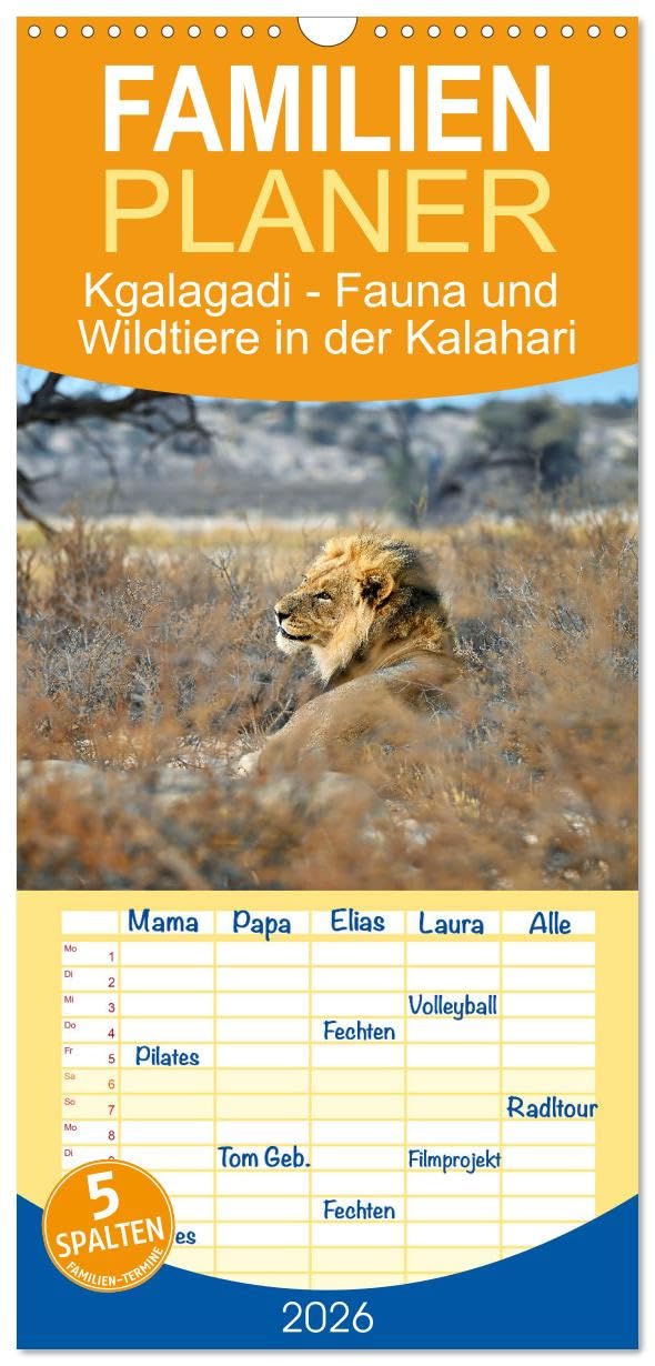 Familienplaner 2026 - Kgalagadi - Fauna und Wildtiere in der Kalahari mit 5 Spalten (Wandkalender, 21 cm x 45 cm), CALVENDO Leisure, Home & Garden