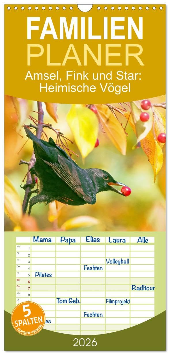 Familienplaner 2026 - Amsel, Fink und Star: Heimische Vögel mit 5 Spalten (Wandkalender, 21 cm x 45 cm), CALVENDO Natural Sciences