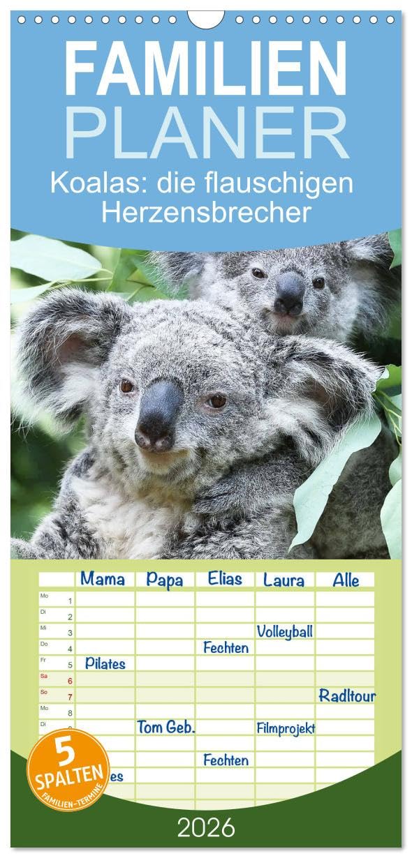 Familienplaner 2026 - Koalas: die flauschigen Herzensbrecher mit 5 Spalten (Wandkalender, 21 cm x 45 cm), CALVENDO Natural Sciences