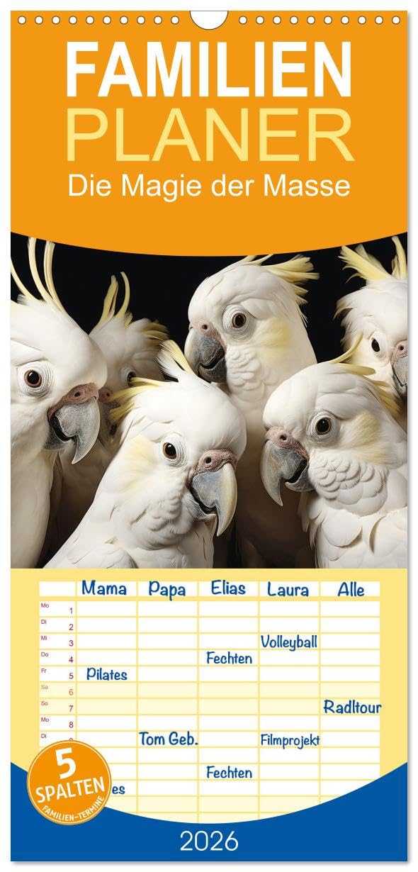 Familienplaner 2026 - Die Magie der Masse mit 5 Spalten (Wandkalender, 21 cm x 45 cm), CALVENDO Natural Sciences
