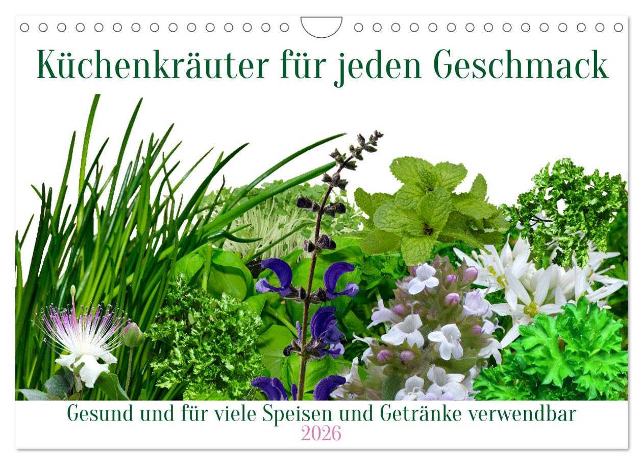 Küchenkräuter für jeden Geschmack (Wandkalender 2026 DIN A4 quer), CALVENDO Monatskalender Leisure, Home & Garden