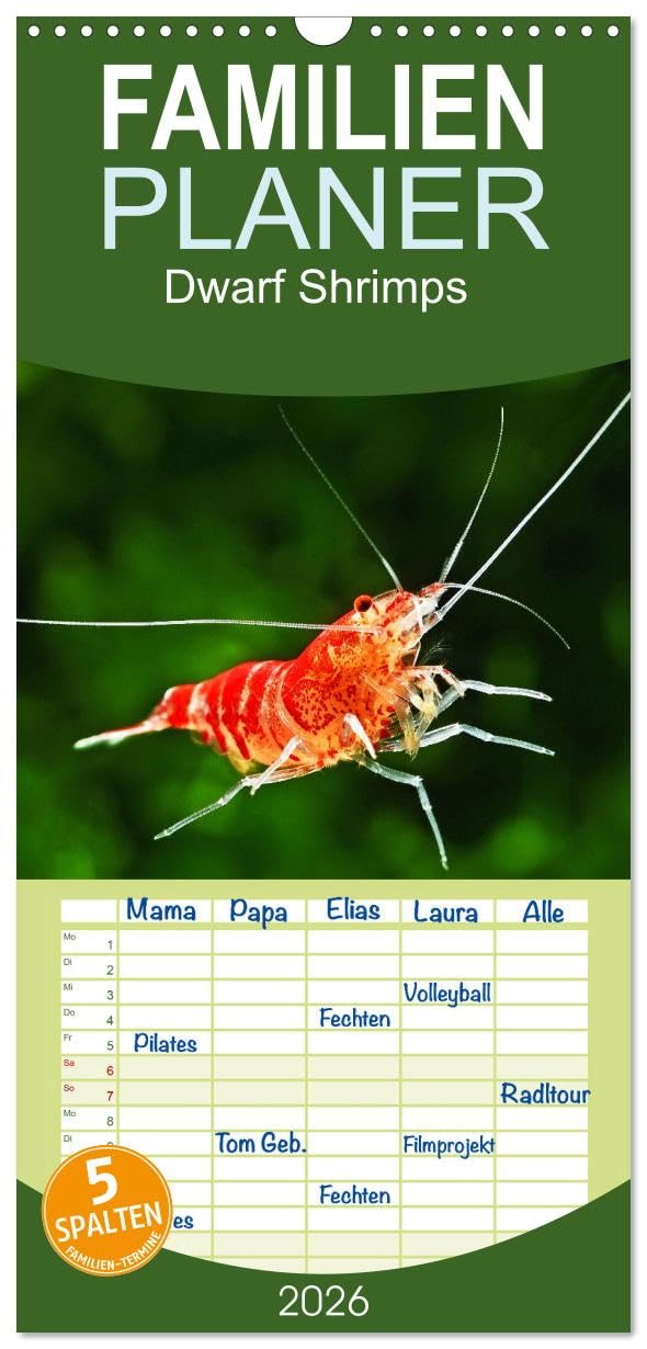 Familienplaner 2026 - Dwarf Shrimps mit 5 Spalten (Wandkalender, 21 cm x 45 cm), CALVENDO Natural Sciences