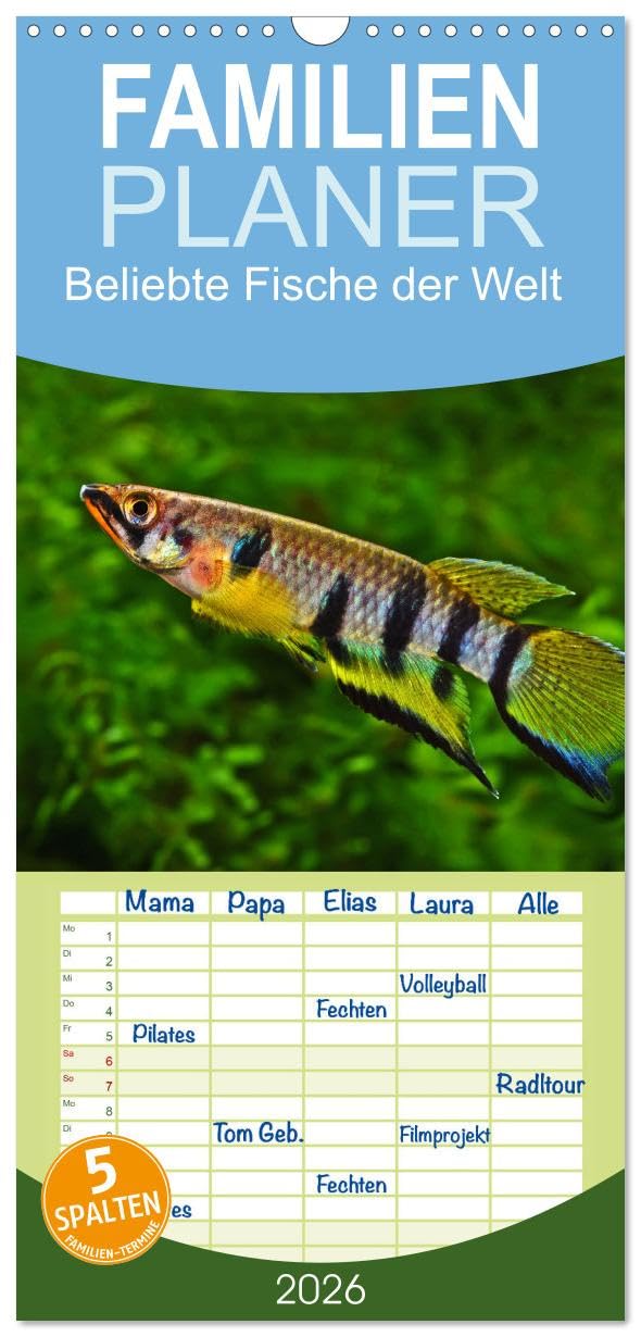 Familienplaner 2026 - Beliebte Fische der Welt mit 5 Spalten (Wandkalender, 21 cm x 45 cm), CALVENDO Natural Sciences