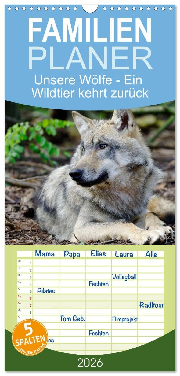 Familienplaner 2026 - Unsere Wölfe - Ein Wildtier kehrt zurück mit 5 Spalten (Wandkalender, 21 cm x 45 cm), CALVENDO Pets