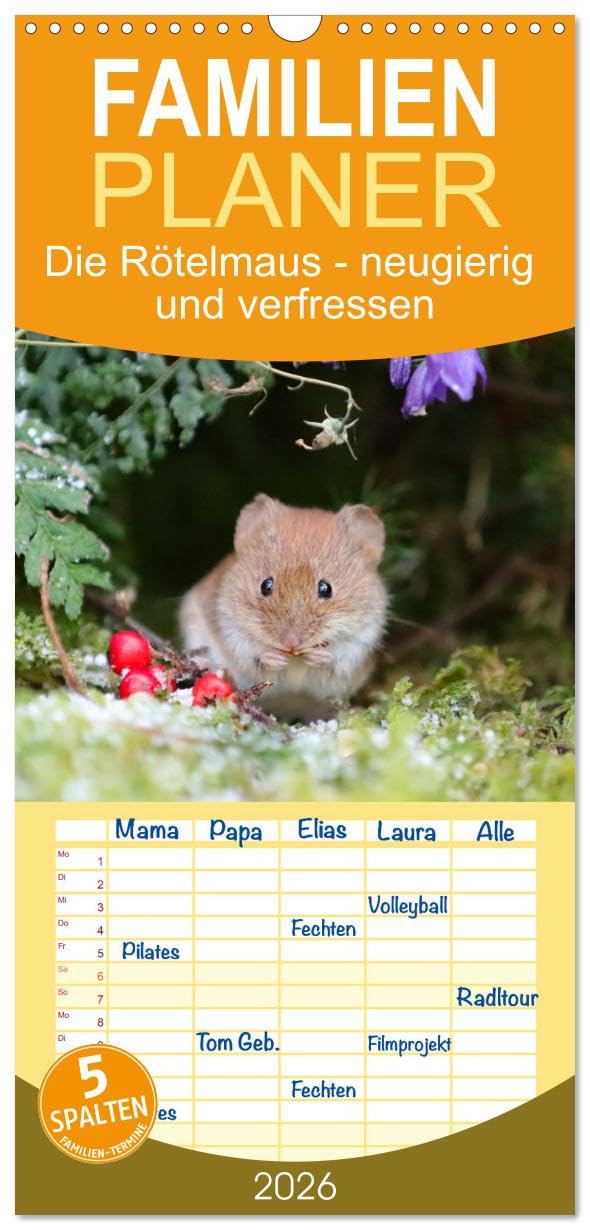 Familienplaner 2026 - Die Rötelmaus - neugierig und verfressen mit 5 Spalten (Wandkalender, 21 cm x 45 cm), CALVENDO Natural Sciences