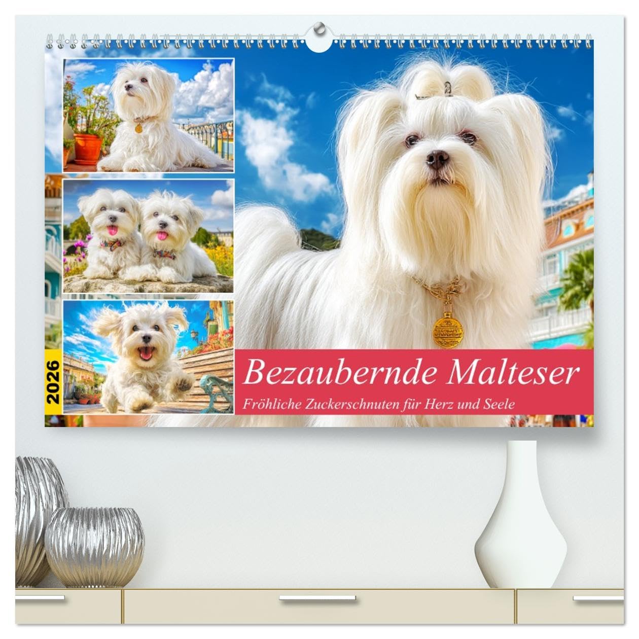Bezaubernde Malteser. Fröhliche Zuckerschnuten für Herz und Seele (hochwertiger Premium Wandkalender 2026 DIN A2 quer), Kunstdruck in Hochglanz Living & Furnishing