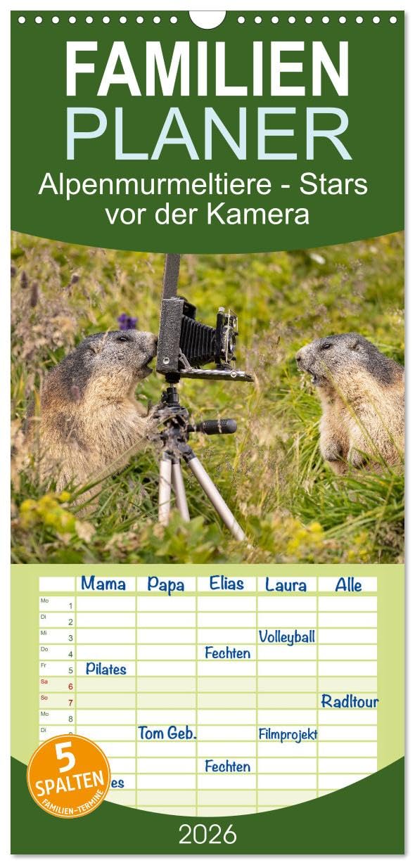 Familienplaner 2026 - Alpenmurmeltiere - Stars vor der Kamera mit 5 Spalten (Wandkalender, 21 cm x 45 cm), CALVENDO Leisure, Home & Garden