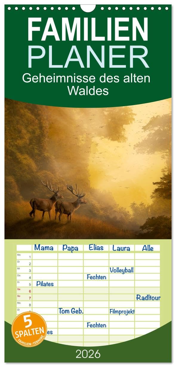 Familienplaner 2026 - Geheimnisse des alten Waldes mit 5 Spalten (Wandkalender, 21 cm x 45 cm), CALVENDO Film, Art & Culture