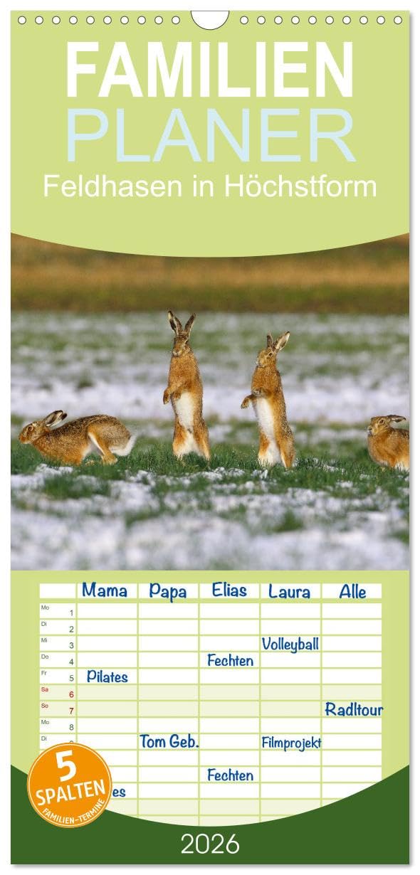 Familienplaner 2026 - Feldhasen in Höchstform mit 5 Spalten (Wandkalender, 21 cm x 45 cm), CALVENDO Natural Sciences