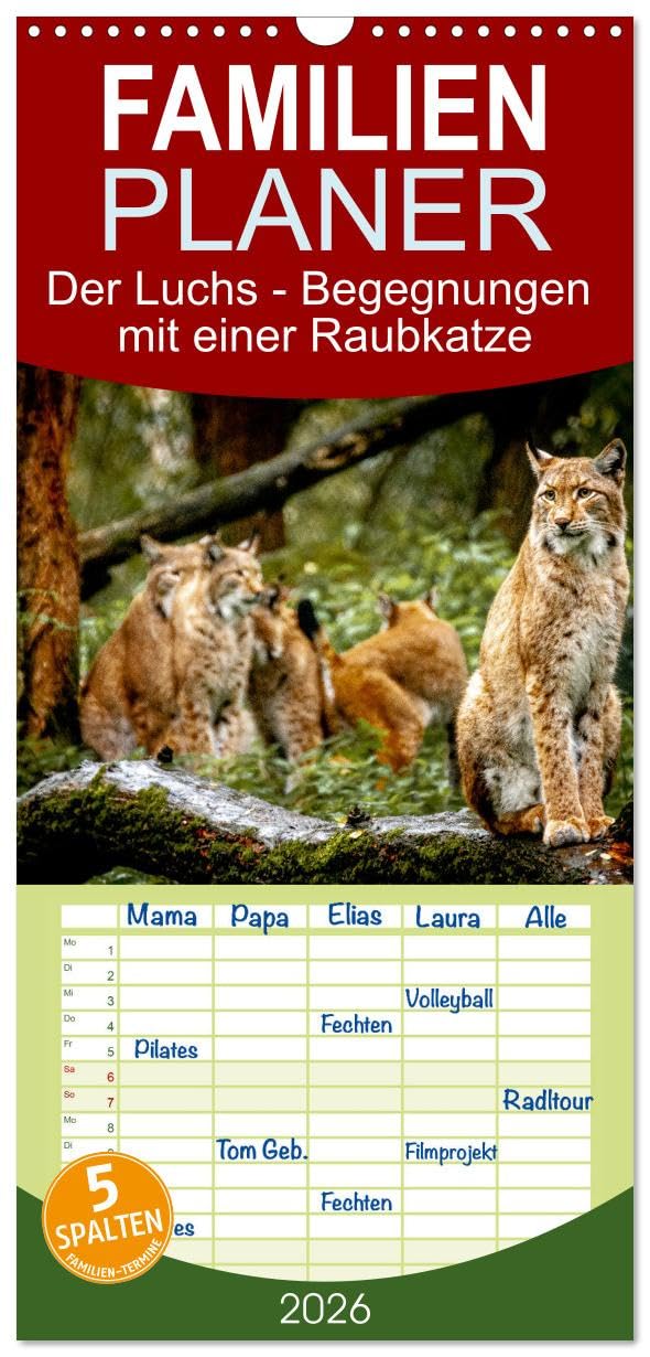 Familienplaner 2026 - Der Luchs - Begegnungen mit einer Raubkatze mit 5 Spalten (Wandkalender, 21 cm x 45 cm), CALVENDO Natural Sciences