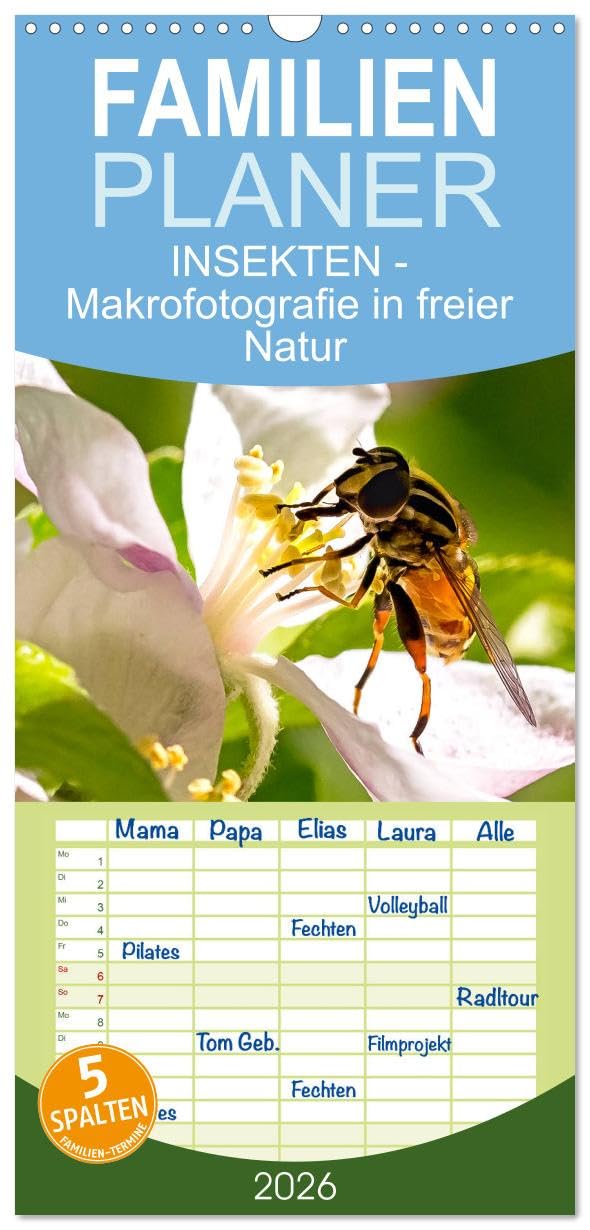 Familienplaner 2026 - INSEKTEN - Makrofotografie in freier Natur mit 5 Spalten (Wandkalender, 21 cm x 45 cm), CALVENDO Leisure, Home & Garden