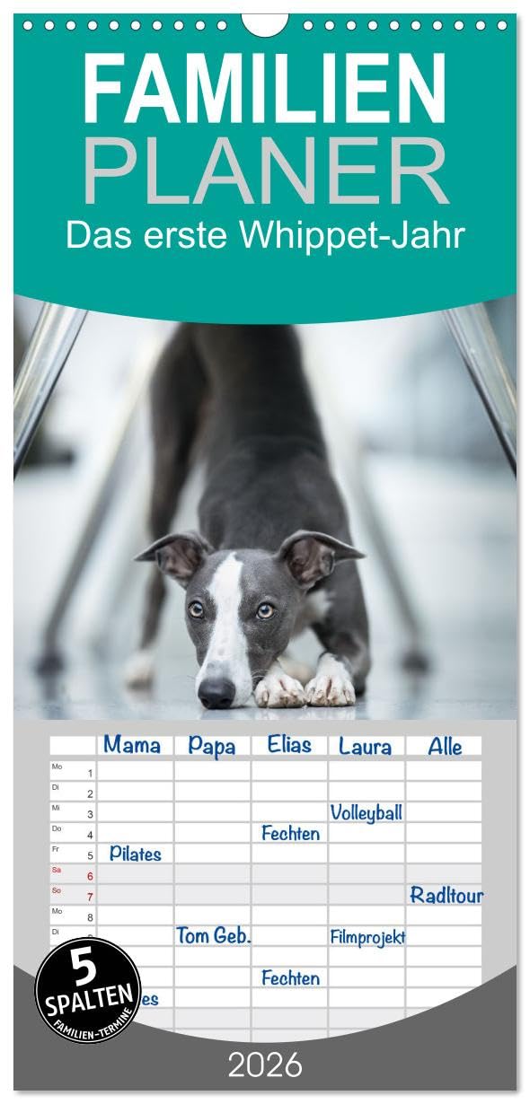 Familienplaner 2026 - Das erste Whippet-Jahr mit 5 Spalten (Wandkalender, 21 cm x 45 cm), CALVENDO Natural Sciences